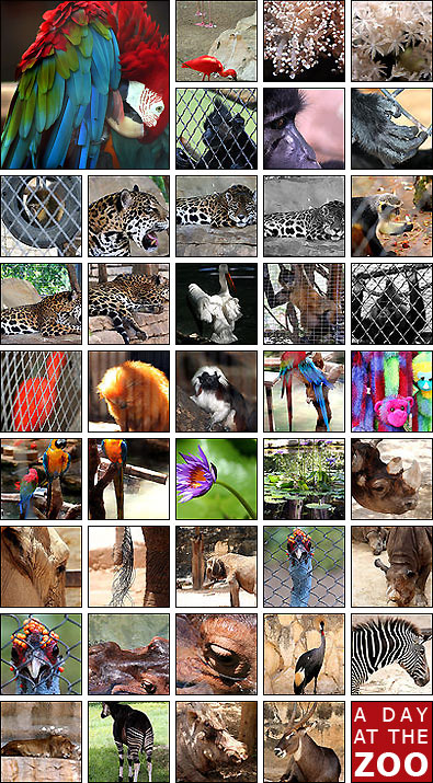 see Day at the Zoo on flickr
